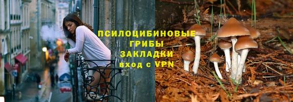 ГАЛЛЮЦИНОГЕННЫЕ ГРИБЫ Богородицк
