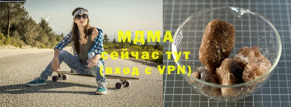 индика Осташков
