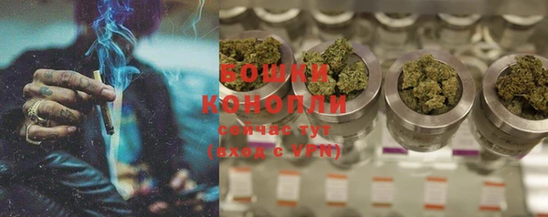 хмурый Богородск
